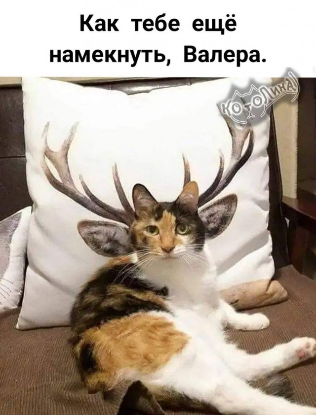 В Приморье ревнивый муж рогоносец убил любовника жены.
