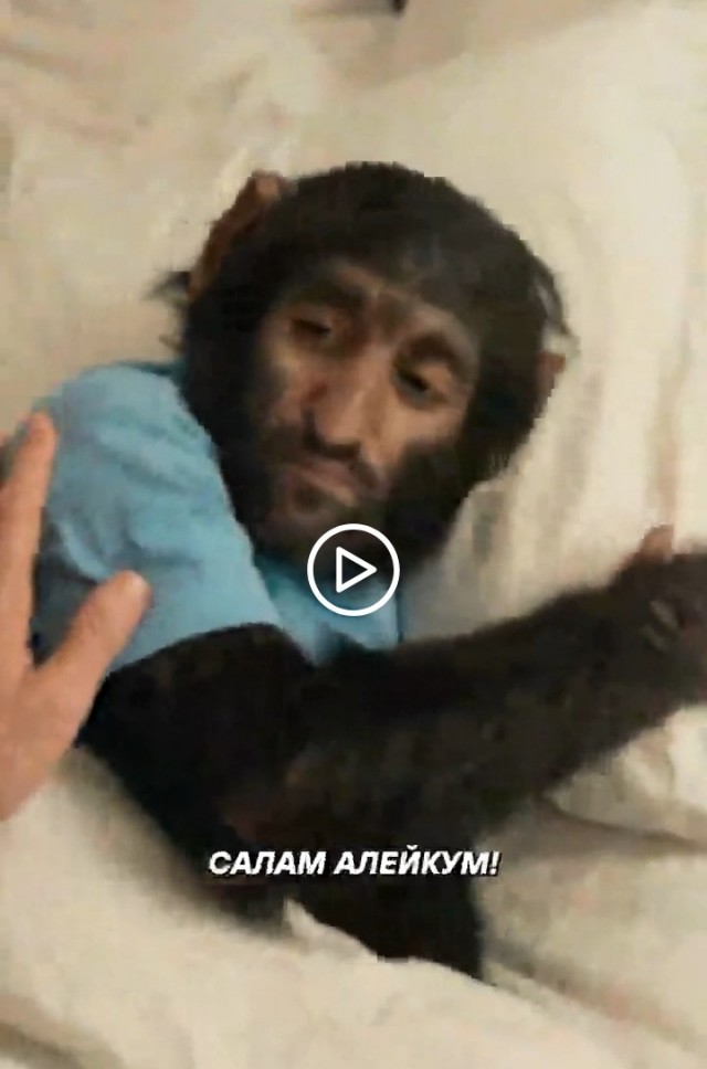 Всякой Хни вам в ленту, дорогие деграданты