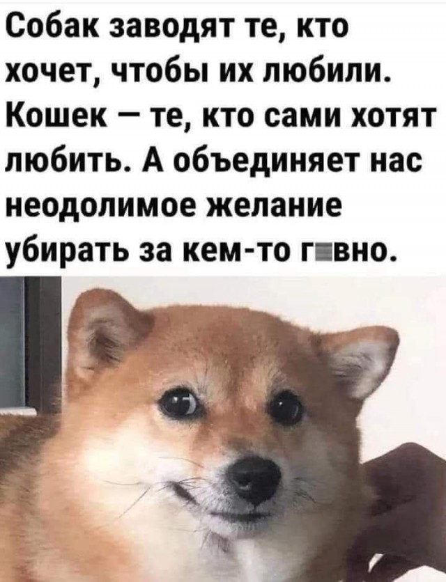 Салянка разная с иишницой