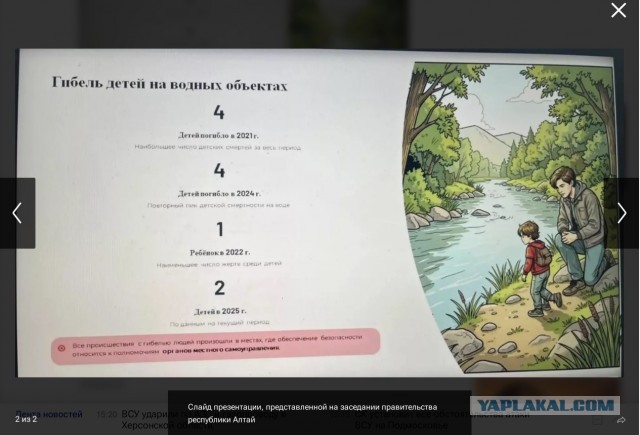 Российский чиновник показал главе региона презентацию с трехногим мальчиком