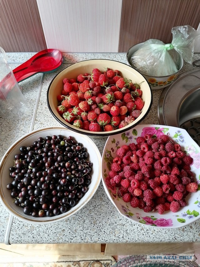 Немного клубнички вам в ленту