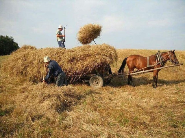 Прикольные и просто красивые картинки 10.07.2026