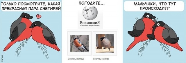 Как поют снегири?