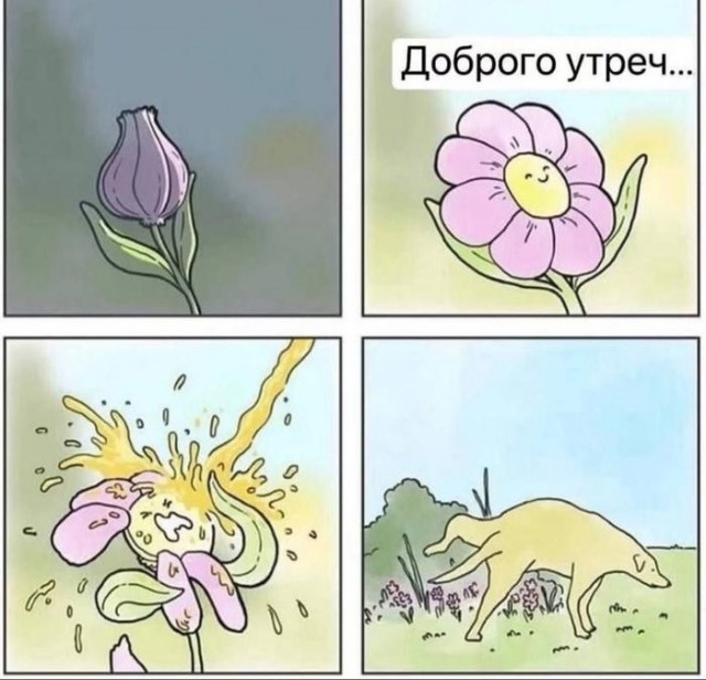 Картинки для деградации 258 ( разной степени свежести)