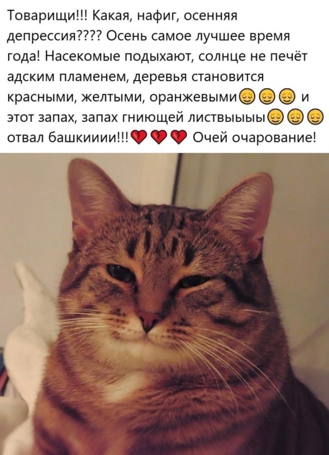 Так себе картинки 10.09.26
