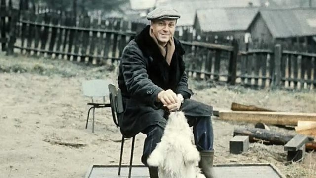 17 сентября 1939 года родился актер кино, режиссер и сценарист Владимир Валентинович Меньшов