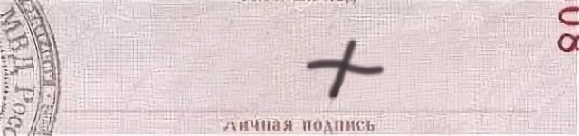 Подборка самых необычных официальных подписей показали в сети