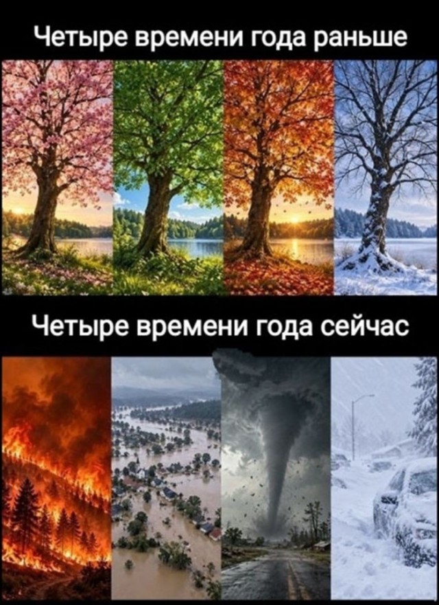 Картинки для деградации 287 (разной степени свежести)