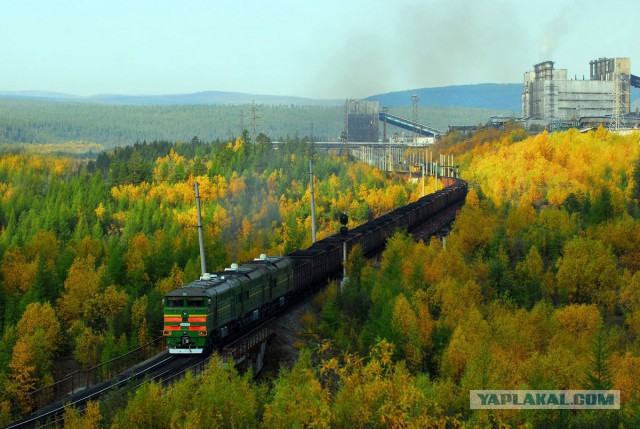 Победители фотоконкурса