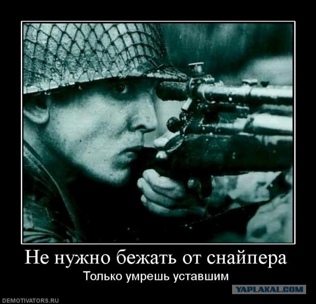 Демотиваторы.