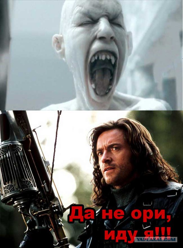 Нечто в соцсети.