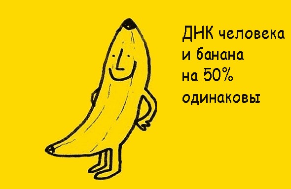 Забавные минифакты в картинках