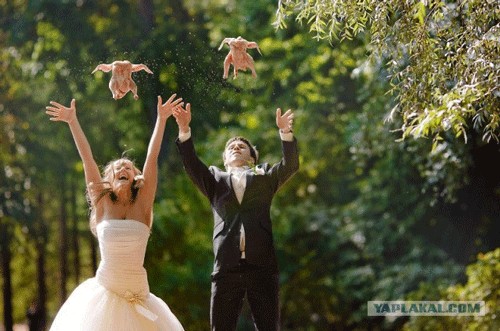 Почему все на свадьбу запускают голубей?