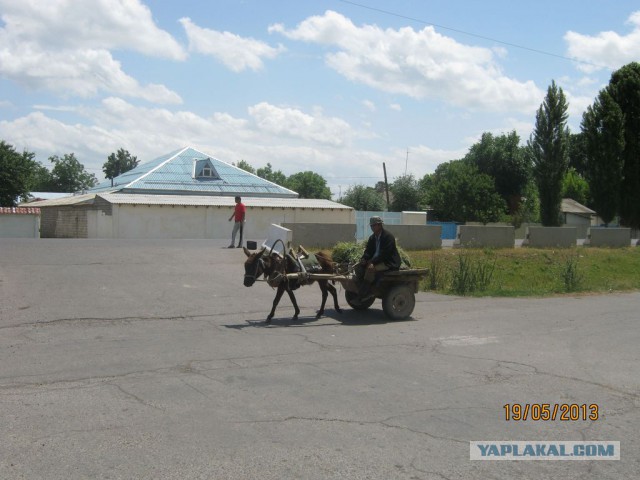 Узбекские мифы