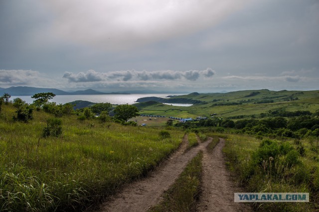 Хочу в Россию.
