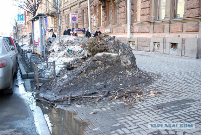 Член ОП Подмосковья не приняла критику из-за фото