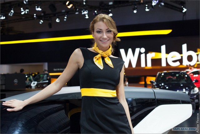 Девушки на ММАС 2012