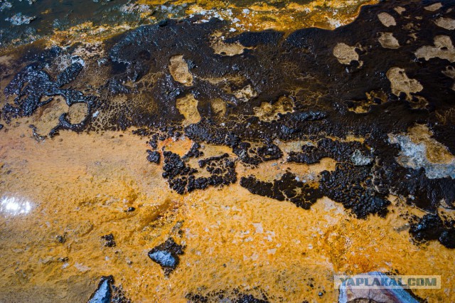 Пока не долбануло в Yellowstone