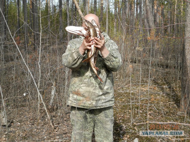 Всех С Днем Рыбака