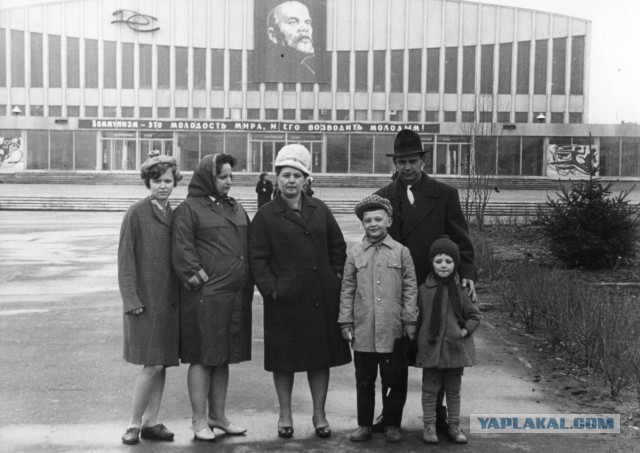 Когда деревья были большими: фото из прошлого