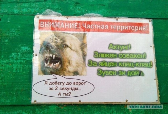 Нихт куриттен - гроссе штрафен!