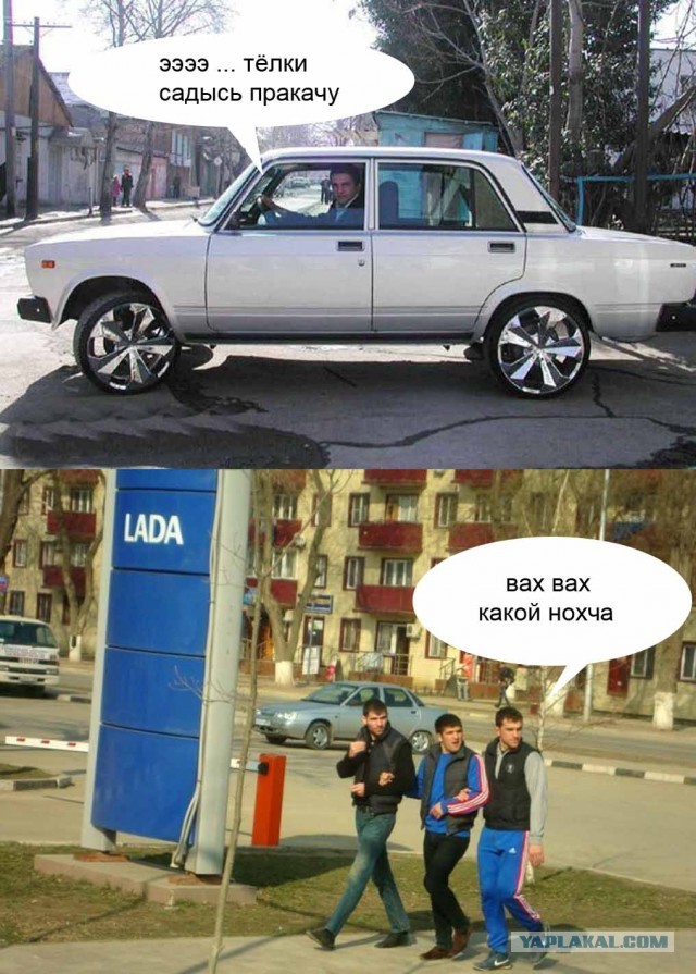 Милые чеченцы