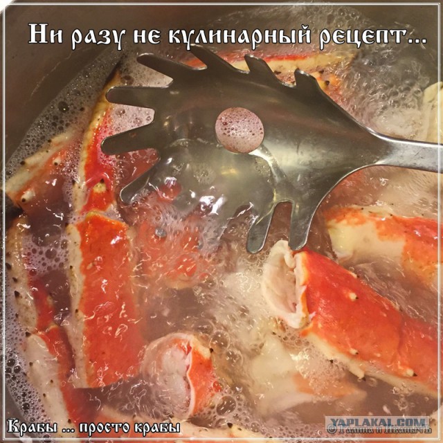 Крабы … просто крабы