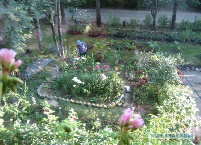 Пост про быдло.