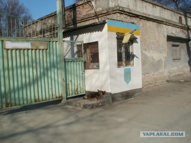 Майдан. Прямая трансляция.