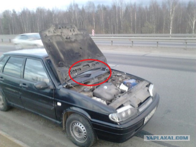 Дерзкая четырнадцатая