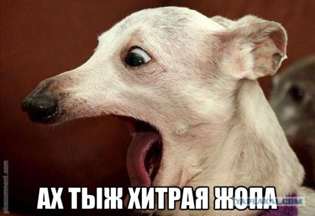 Истиное назначение мультиварки