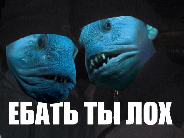 15 самых отвратительных животных, при виде которых вы обязательно скажите “Фууу”.