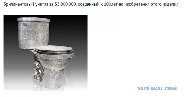У охранника "Газпрома" украли унитаз за 200 тысяч