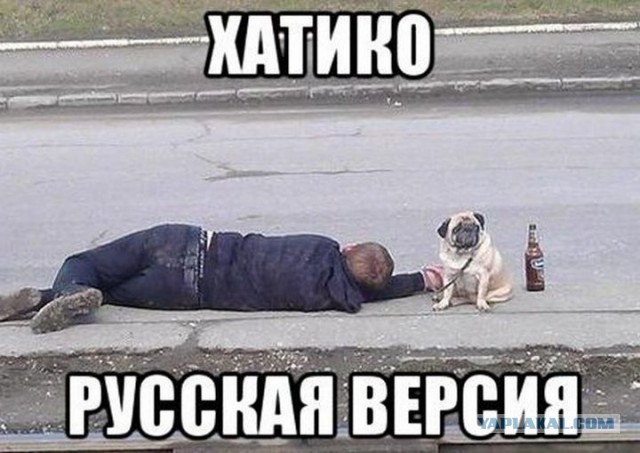 Юмор не для всех