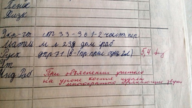 Замечания в дневниках