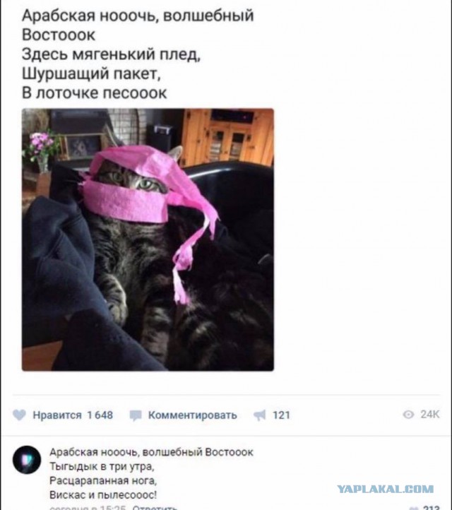 150 картинки для поднятия настроения!