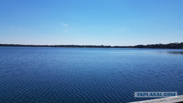 Просто Природа