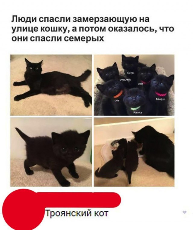 От работы тяжёлой не ной, пост с картинками для отдыха открой!