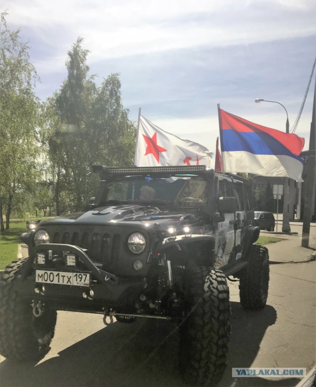 Новости из зоопарка поздравление от курицы