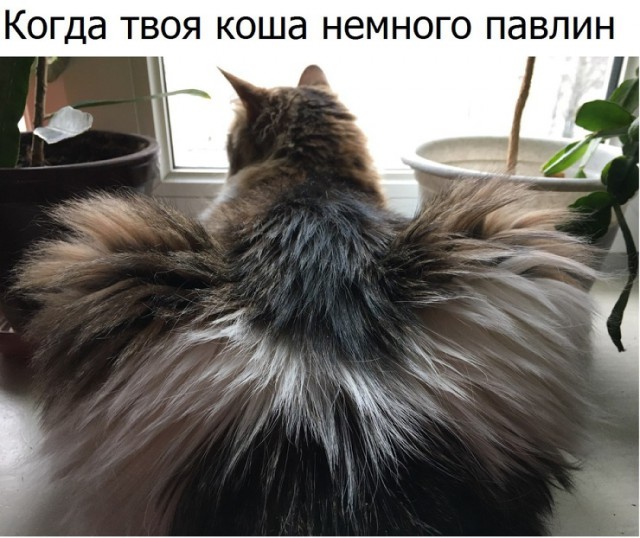Немного картинок в эту субботу