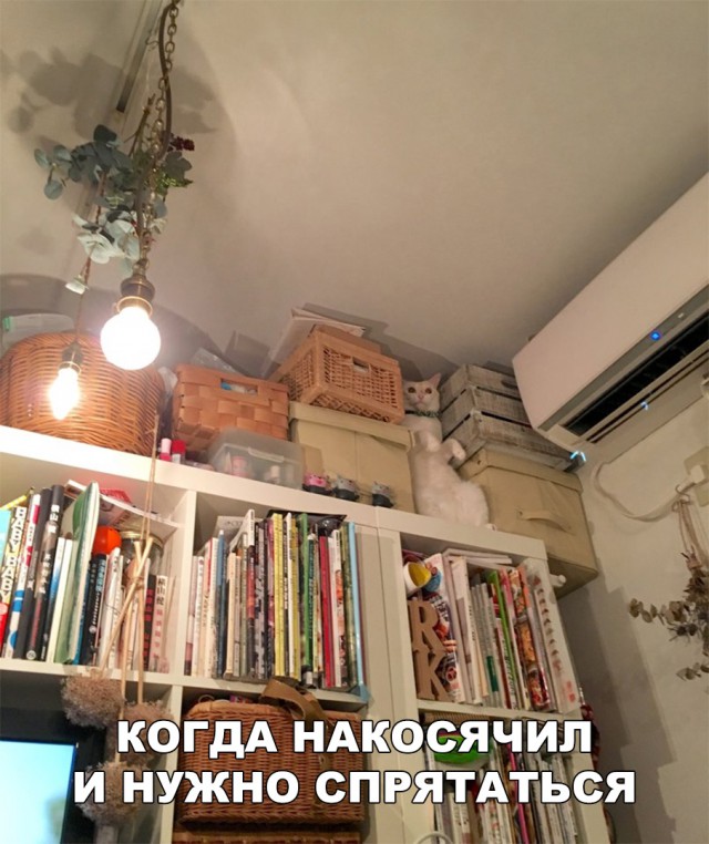 Нестандартный юмор