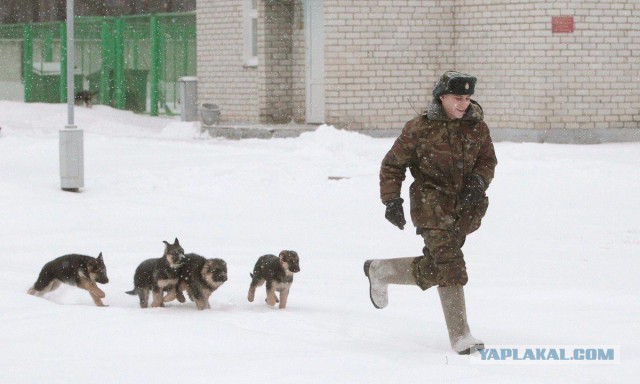 Подборка интересных и веселых картинок 08.02.19