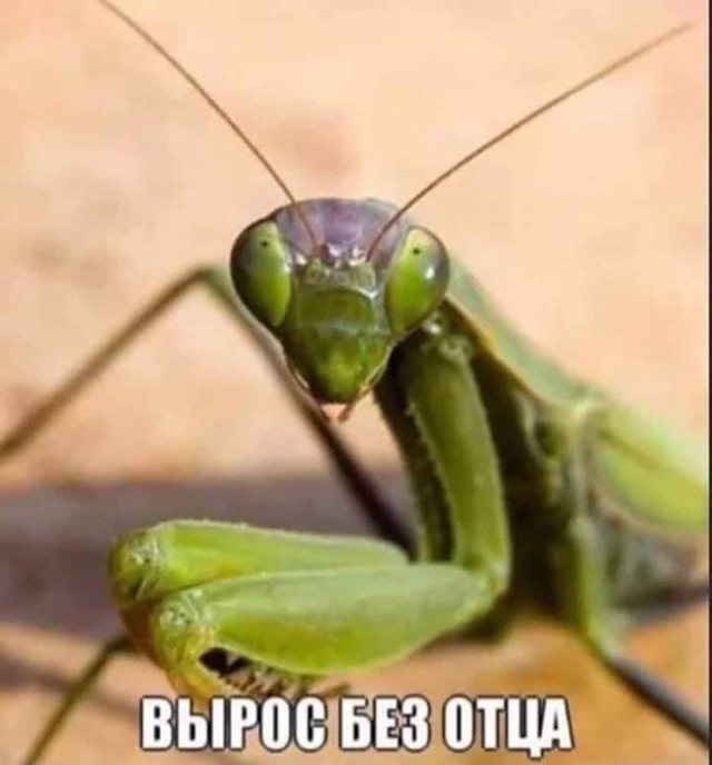 Подборка интересных и веселых картинок 07.05.19