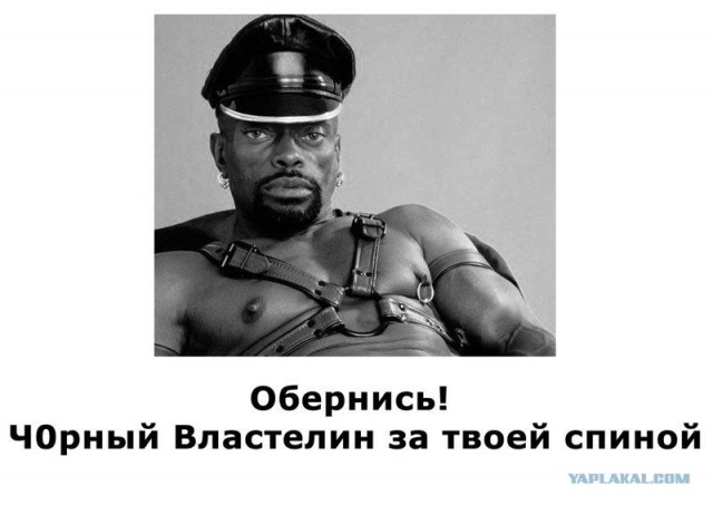 Человек, который живет в лесу и делает сайты.