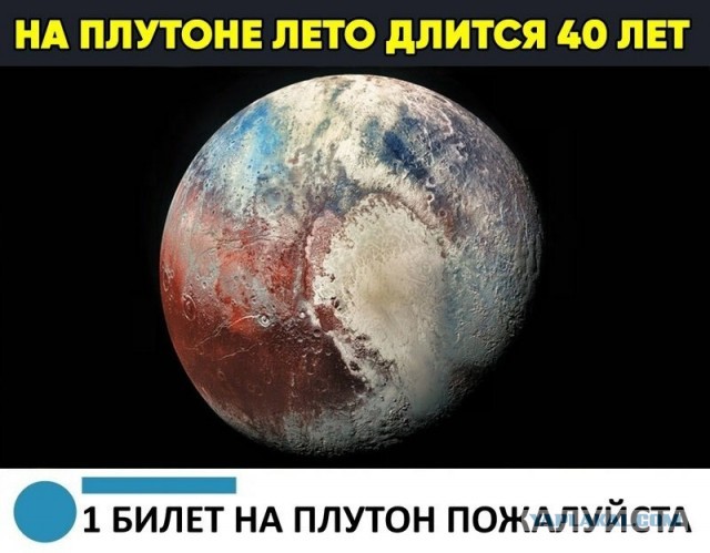 Прикольные комментарии и высказывания из Сети 07.09.19