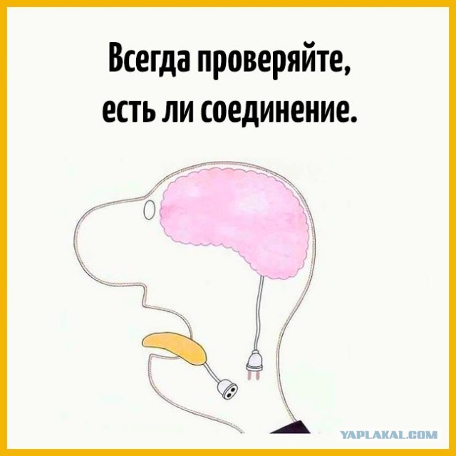 Почему альтернативная энергетика – фейк, или  когда мы все пересядем на Тесла