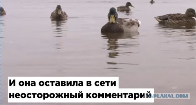 Молодую маму внесли в список террористов из–за комментария в соцсети
