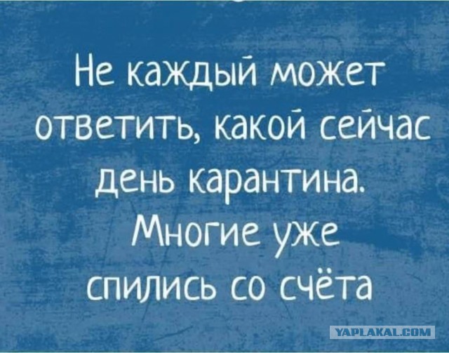 Ударим баянистыми картинками по серости самоизоляции!