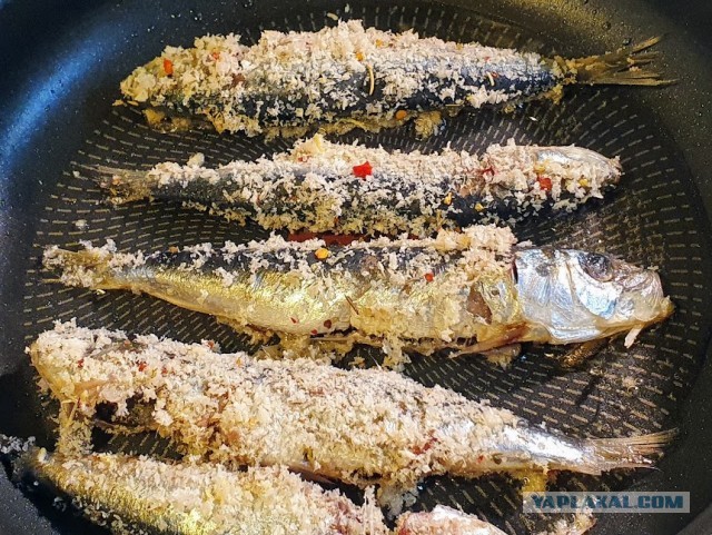 Сардины с зеленым майонезом. С Днем Рождения Люда Vinodelprofi.