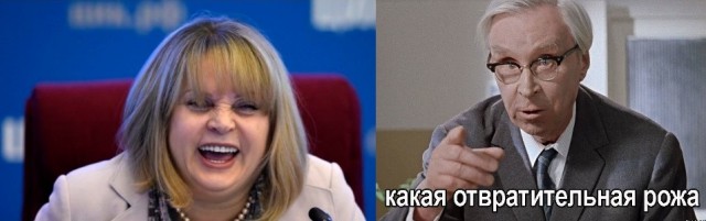 Памфилова заявила о беспрецедентной агрессии и грубости наблюдателей